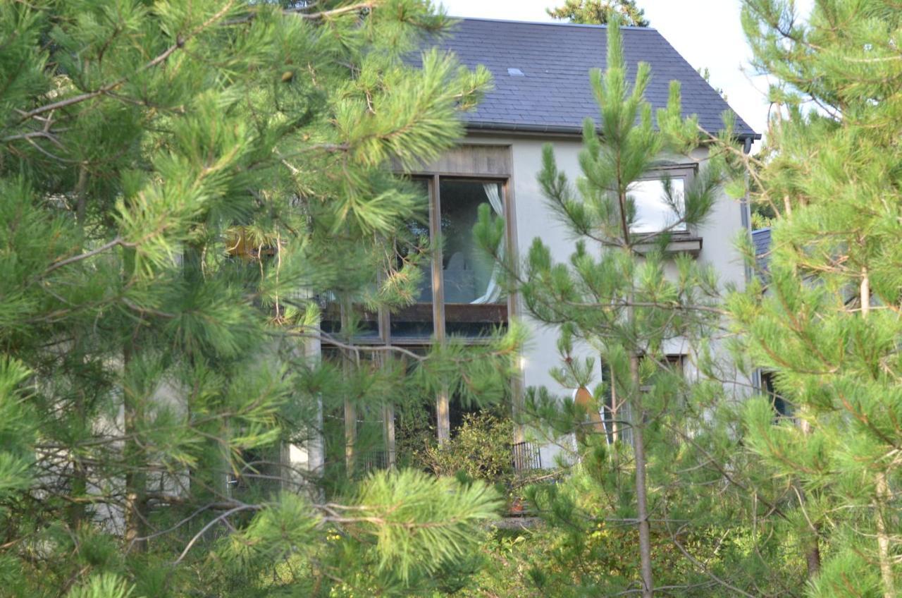La Villa Dans Les Pins กองด์ ภายนอก รูปภาพ